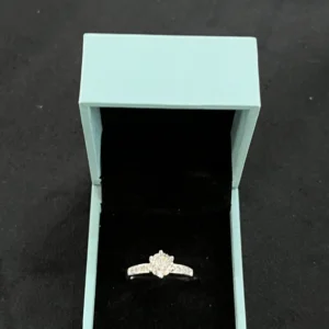 Dazzling Halo Silver Ring